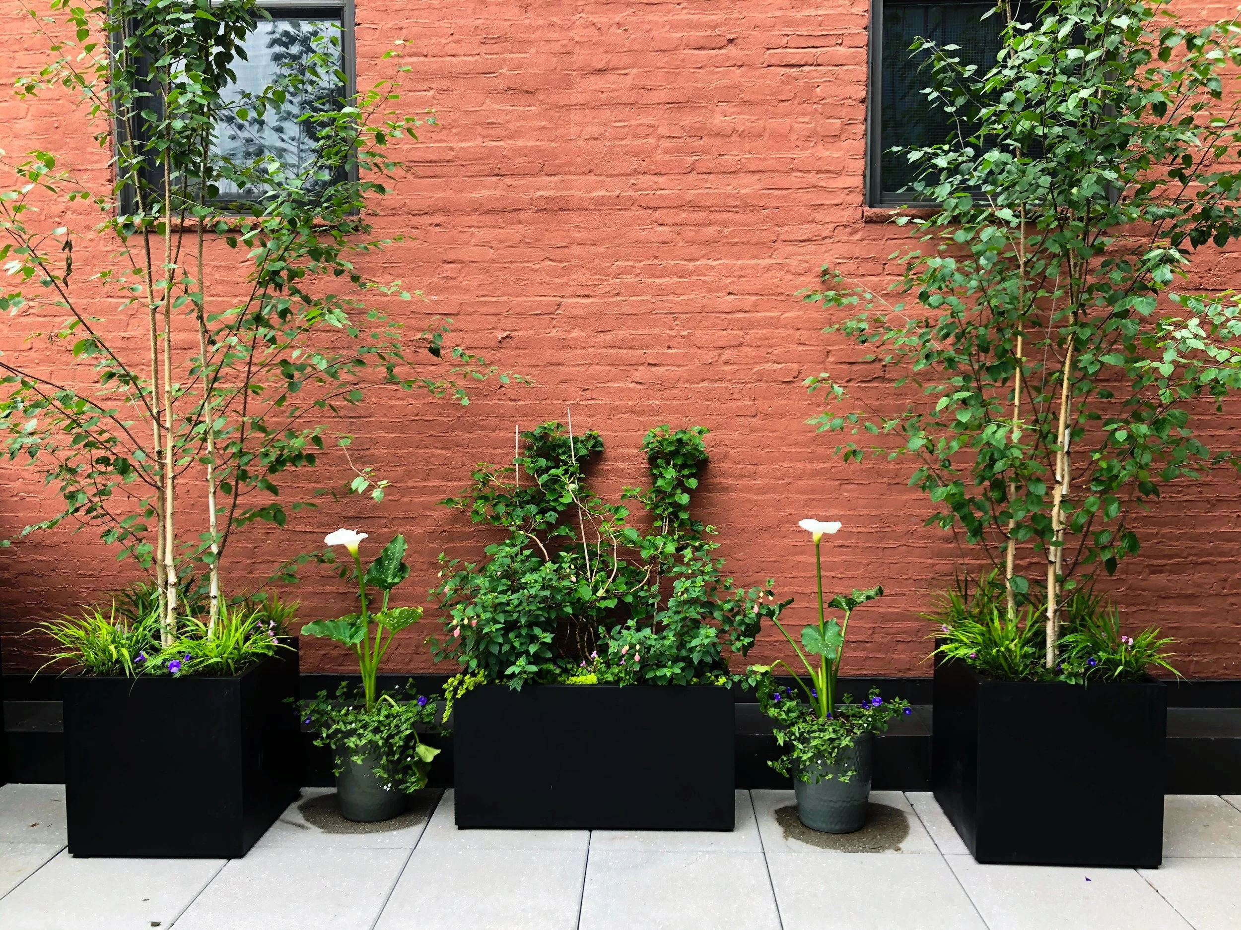 AfterlightImage 123.JPG