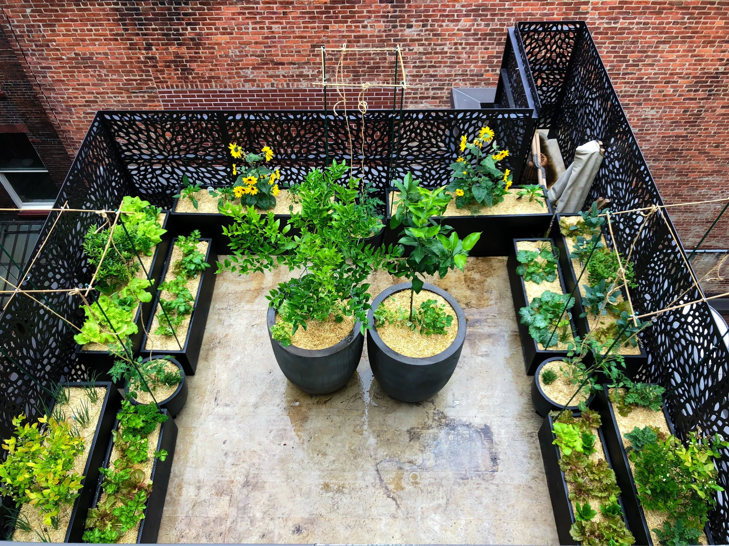 AfterlightImage 124.JPG