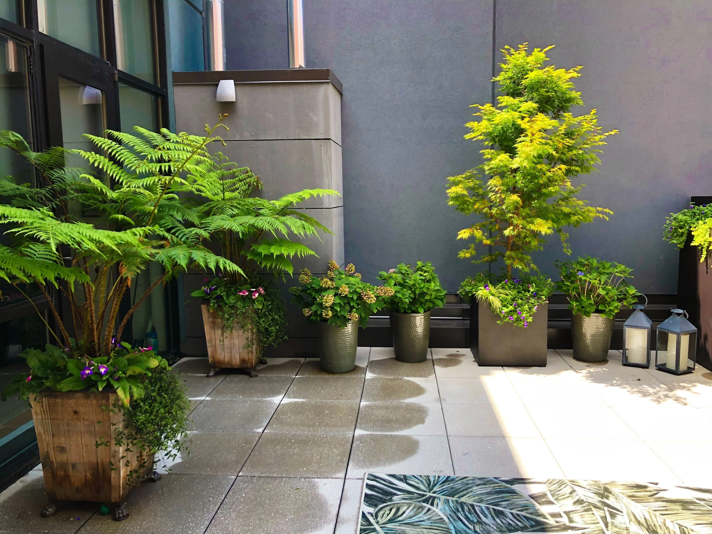 AfterlightImage 121.JPG