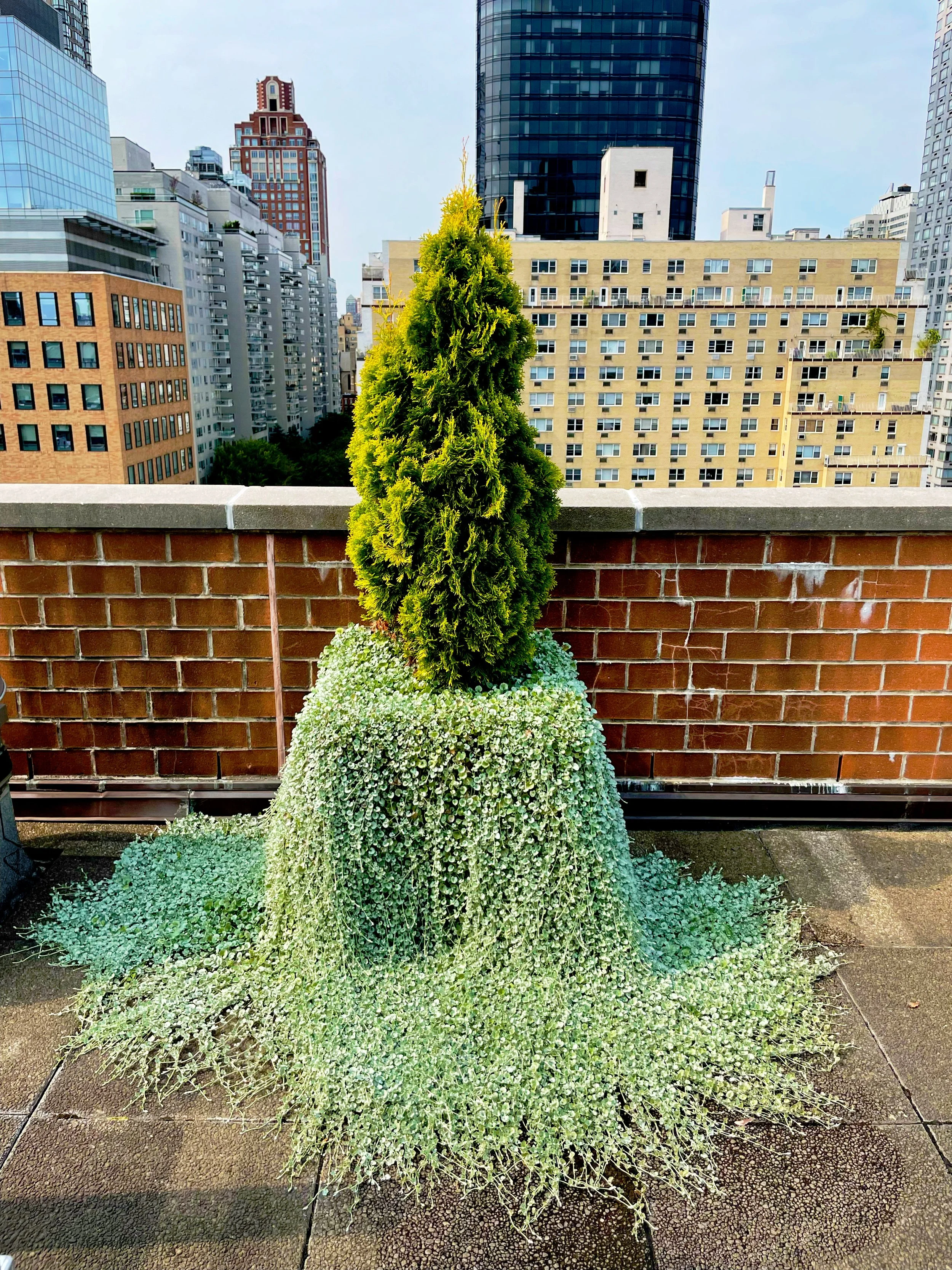 AfterlightImage 132.JPG