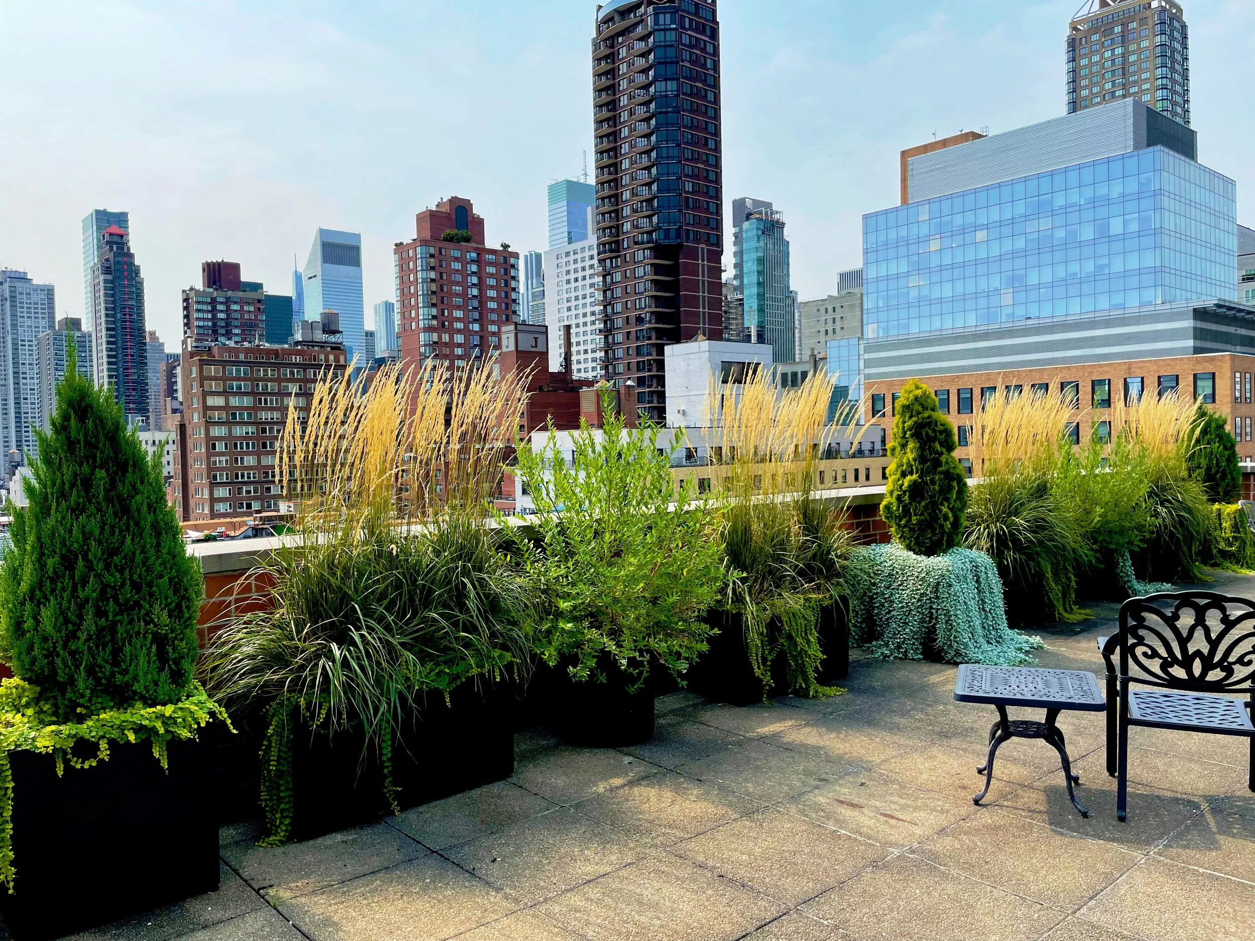 AfterlightImage 130.JPG