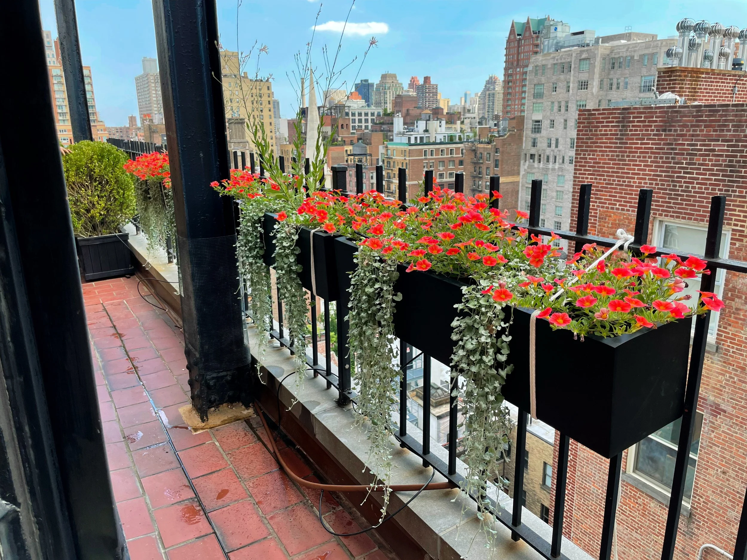 AfterlightImage 141.JPG