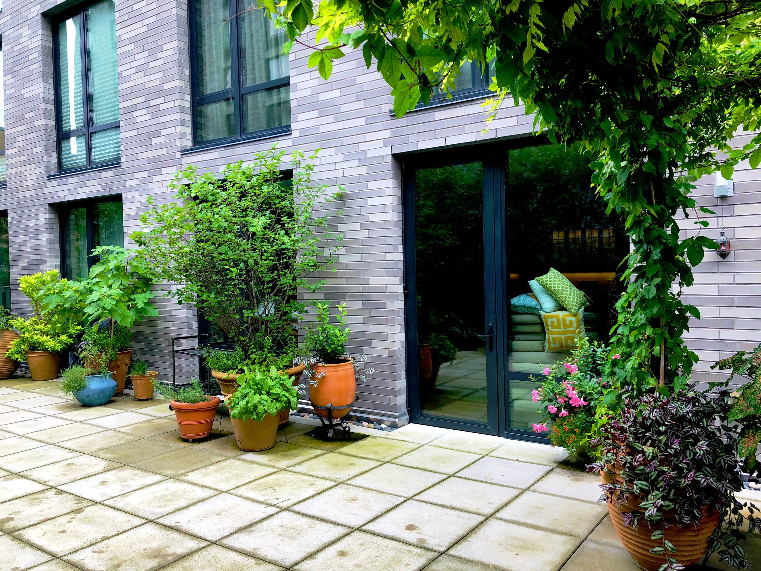 AfterlightImage 196.JPG