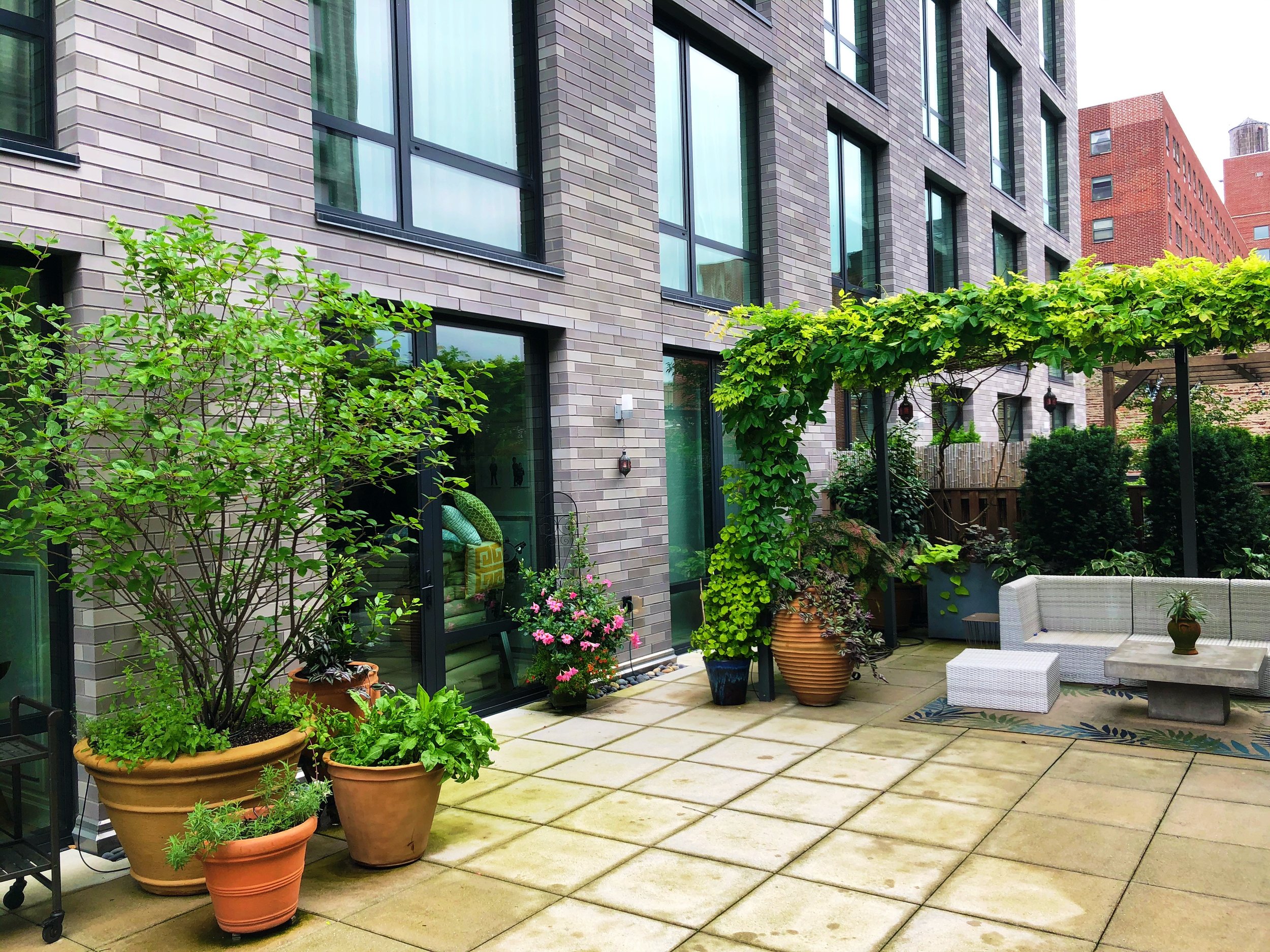 AfterlightImage 197.JPG