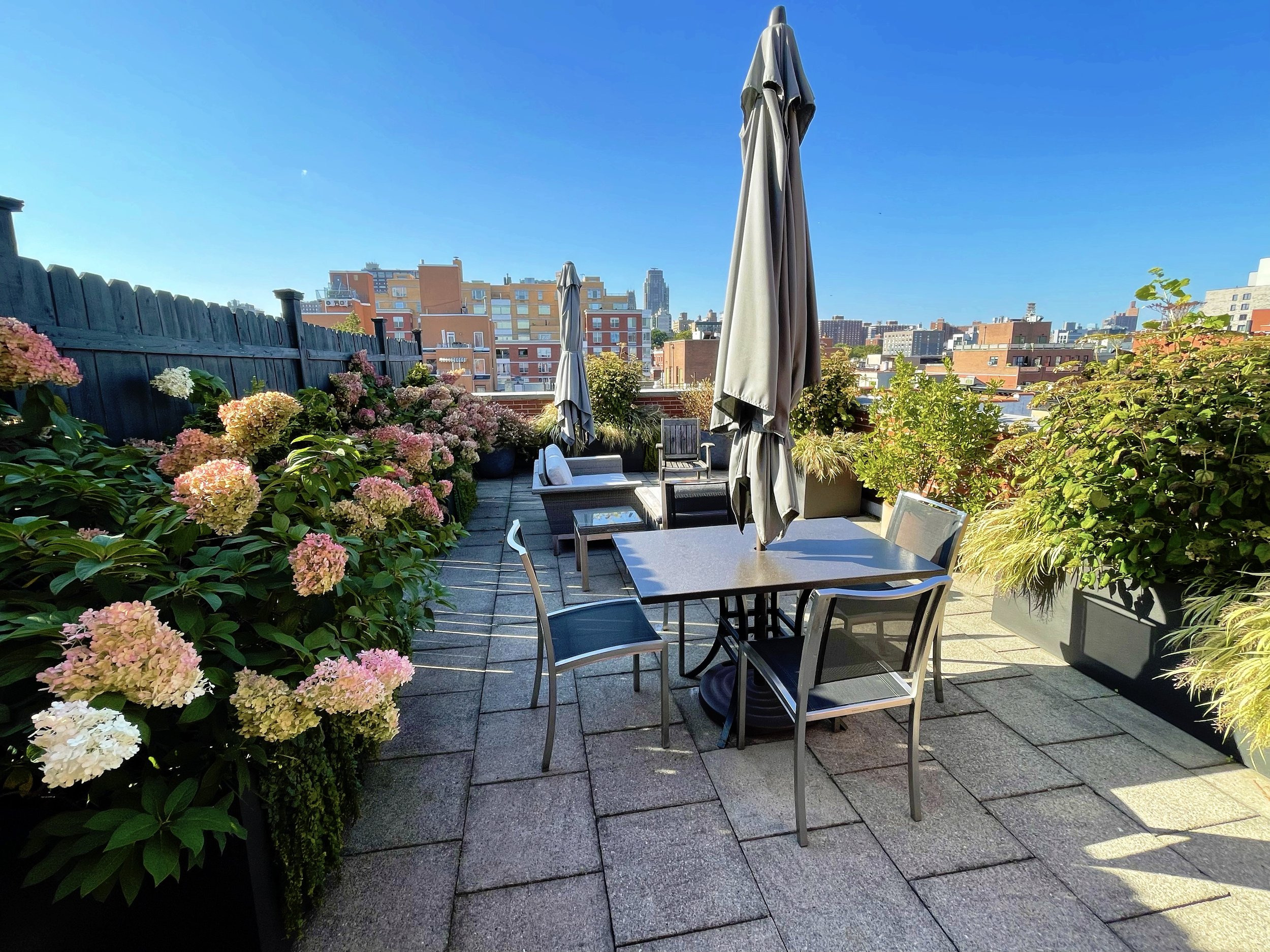 AfterlightImage 195.jpg