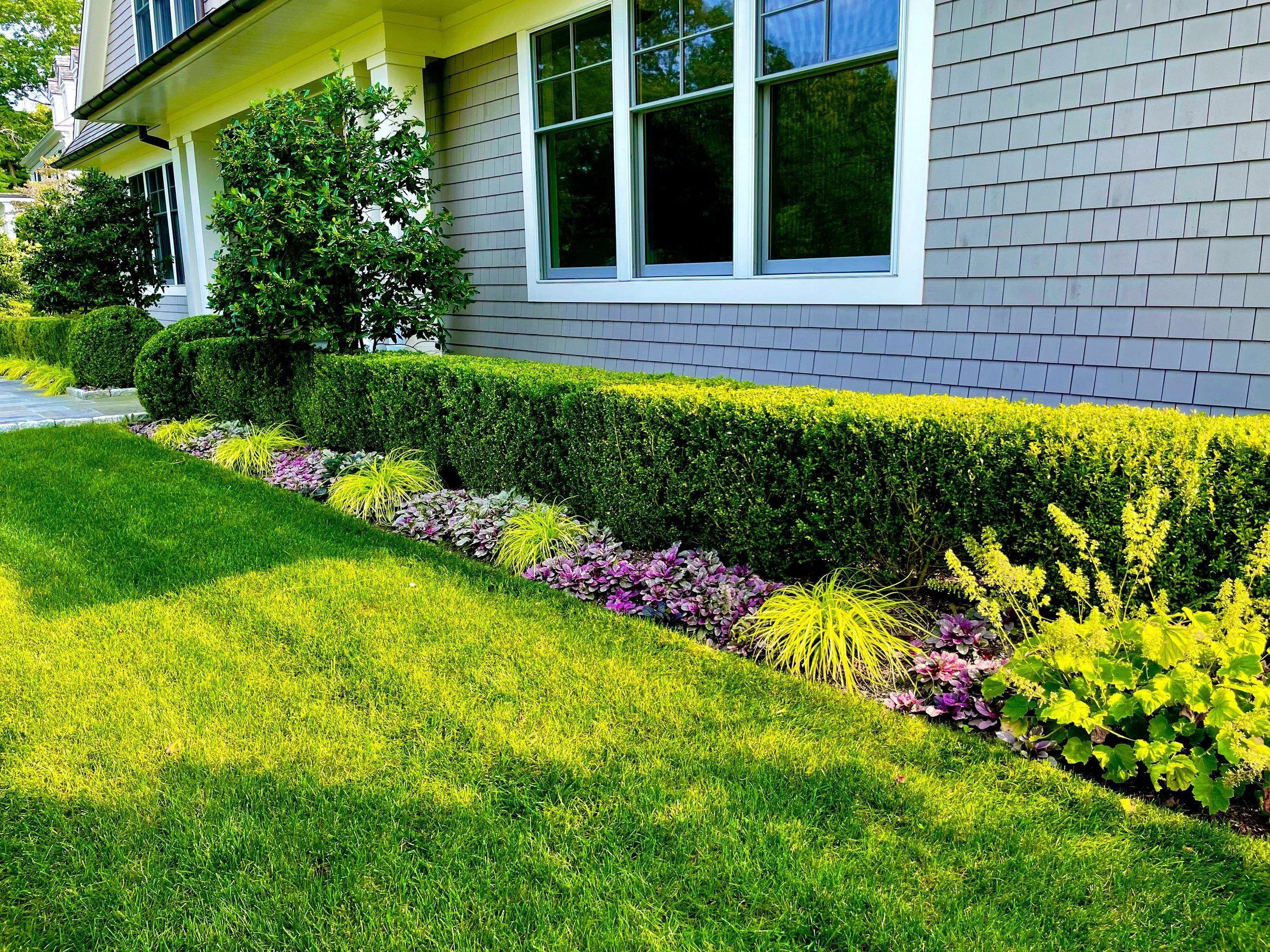 AfterlightImage 198.JPG