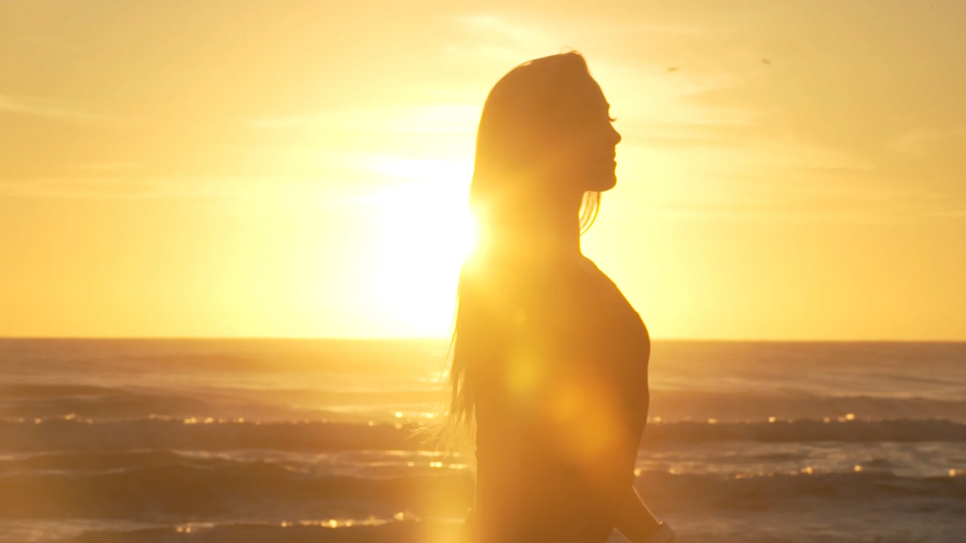 Official Website Launch!  