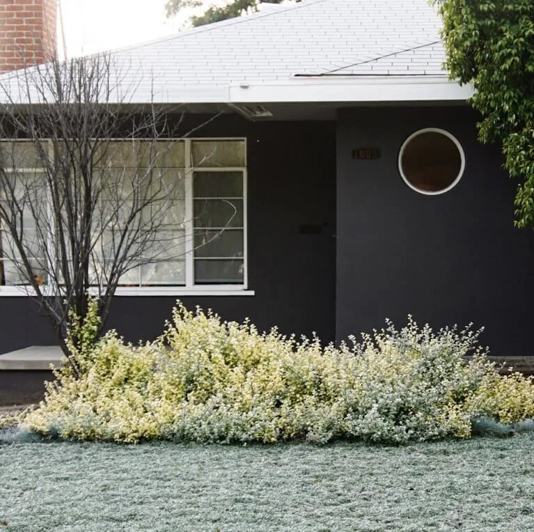 yardkit-firescaping-placing-plants.jpg
