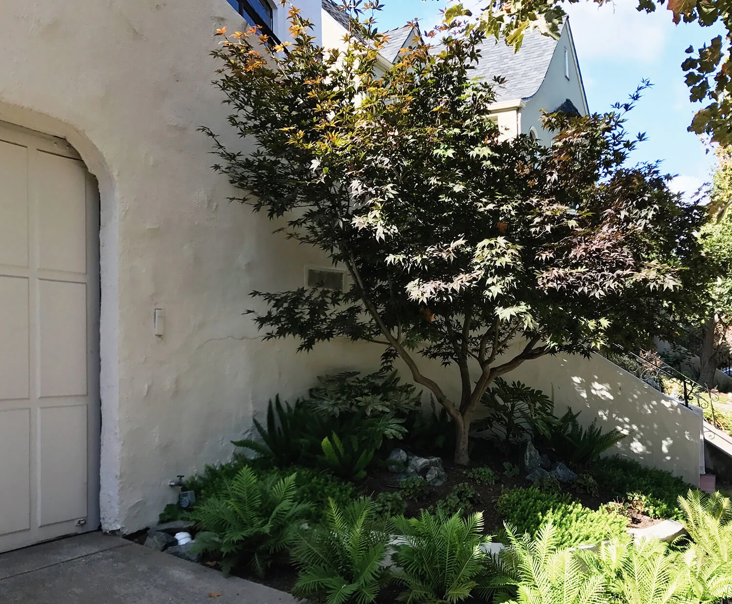 planting-sample-driveway.jpg