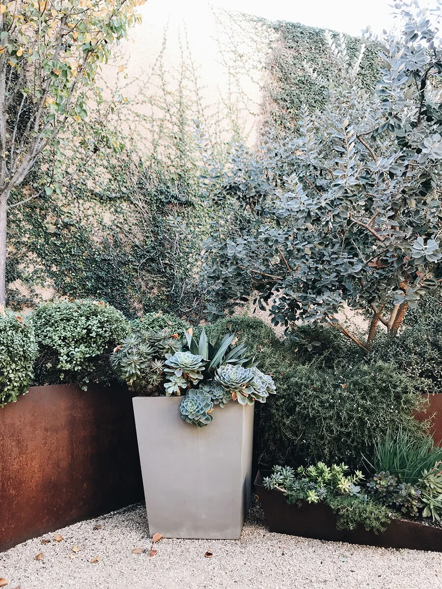 planting-sample-pots.jpg