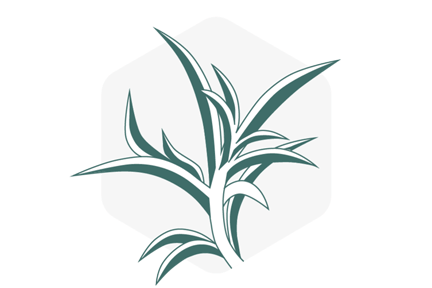 step-5-planting.png