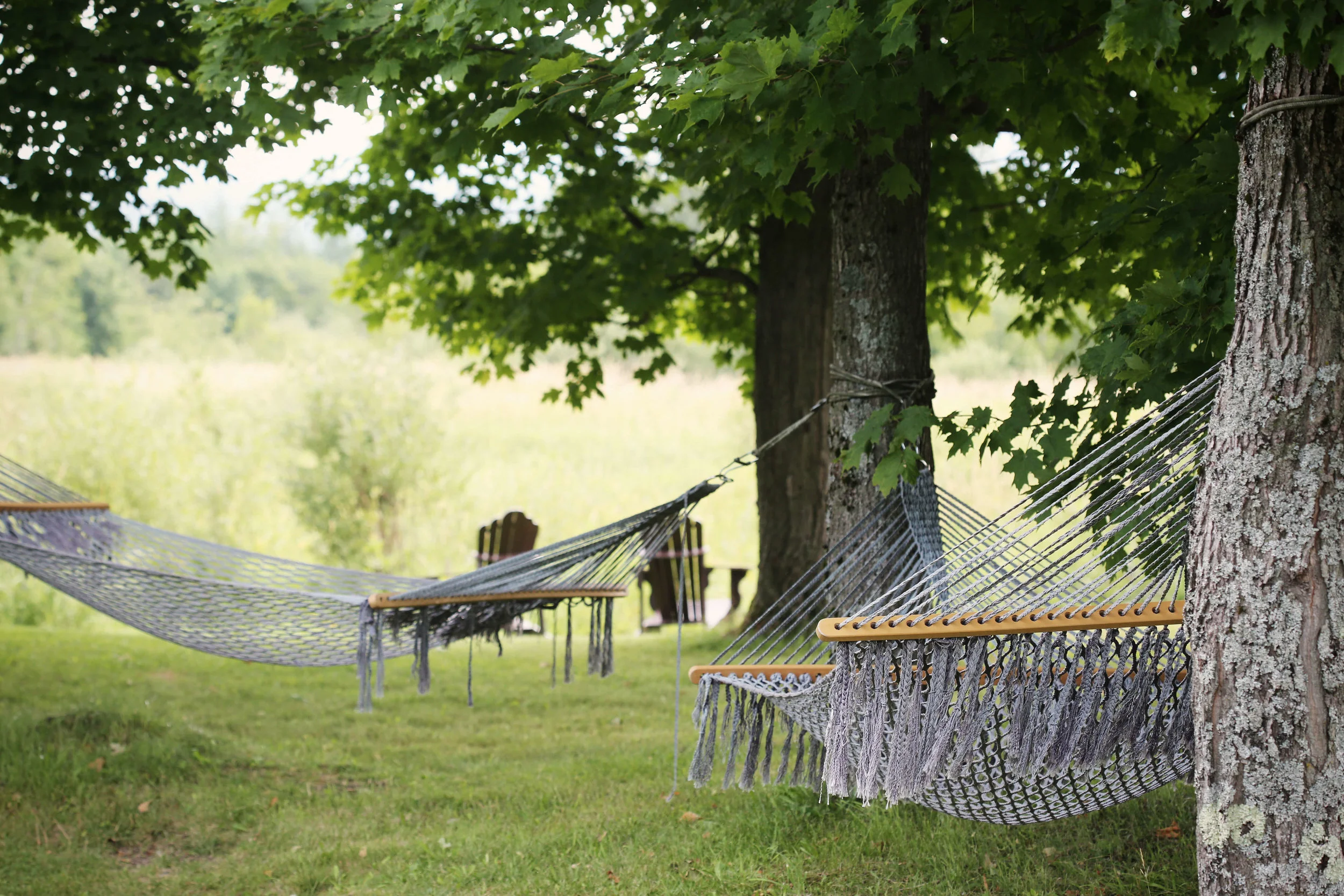 health-benefits-of-plants-hammock.jpg