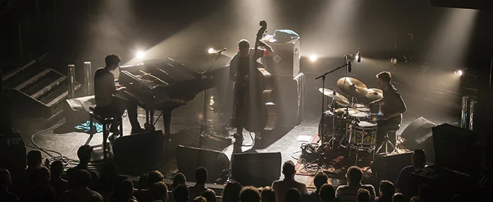 GoGo Penguin