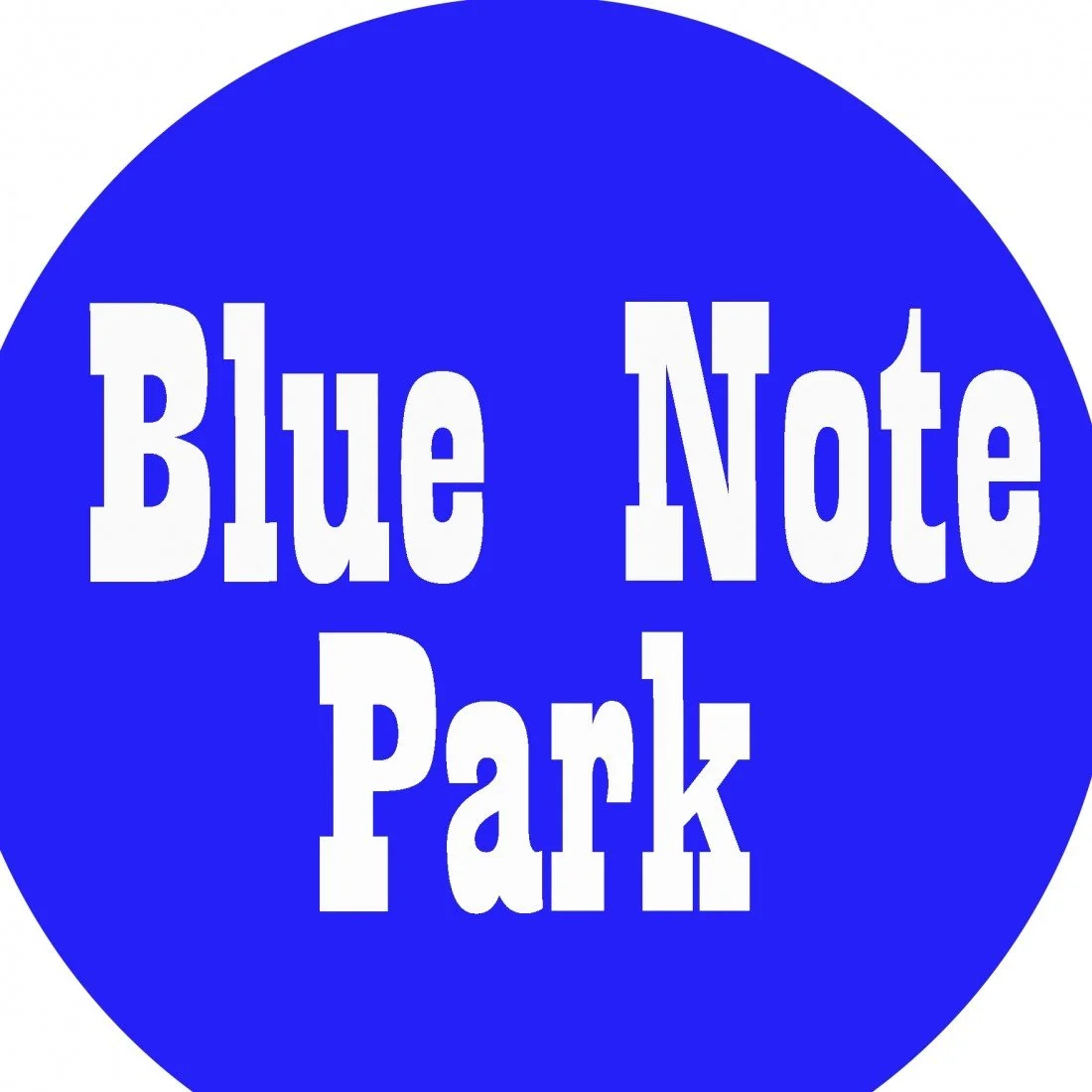 JD Edwards Band at Blue Note Park