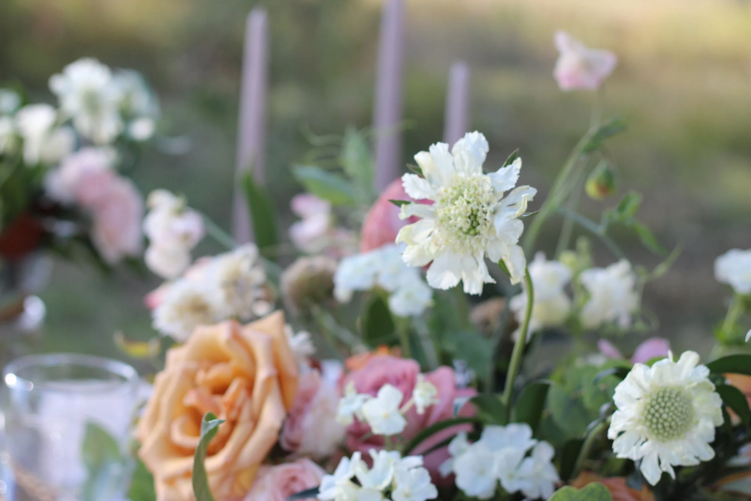 Autumn Magnolia Leaves and Mustard Roses Floral Inspiration