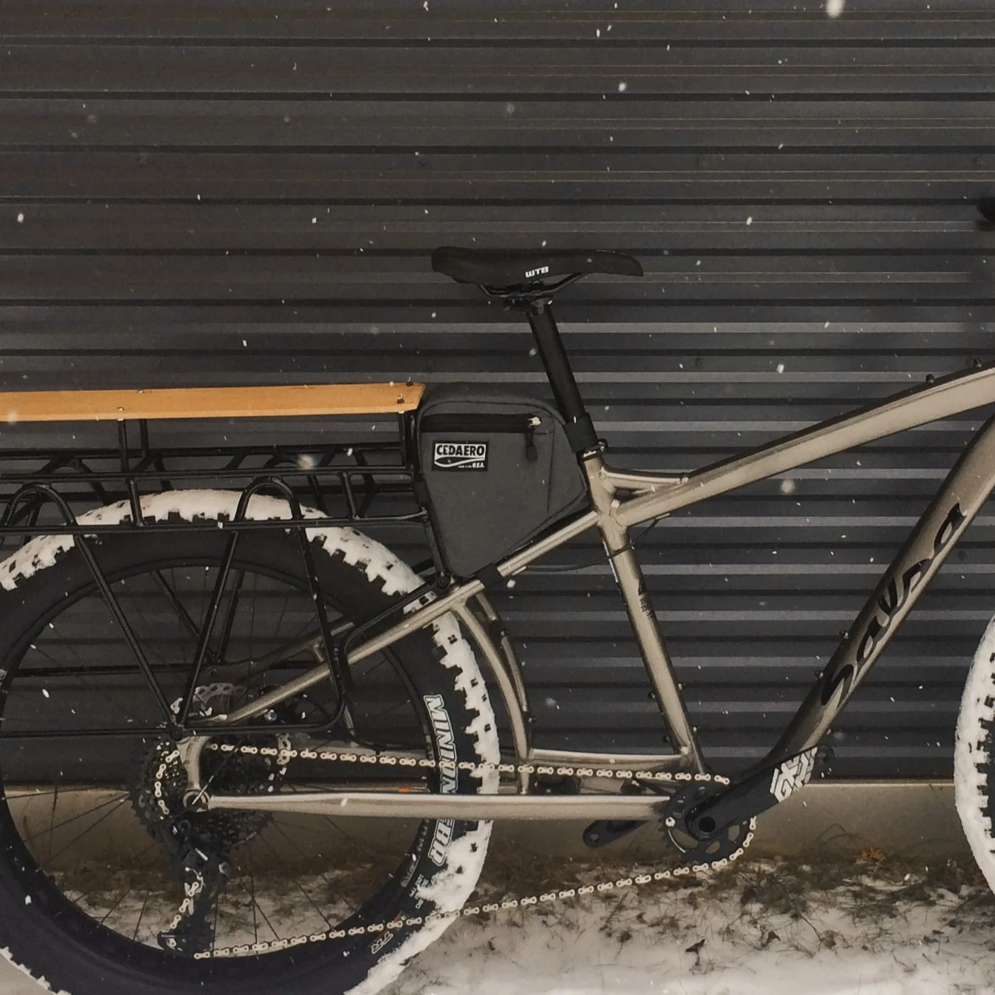 salsa blackborow 2018