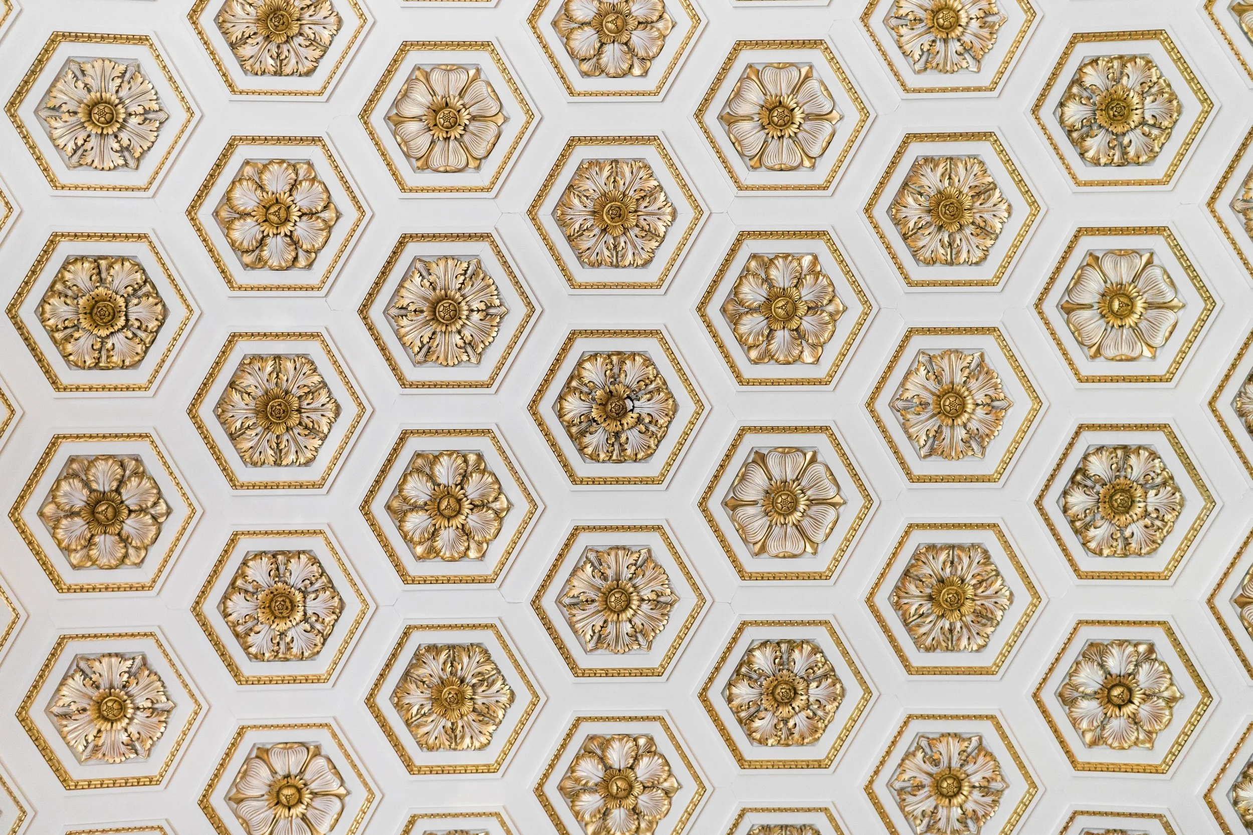 paul-green-hexagon.jpg