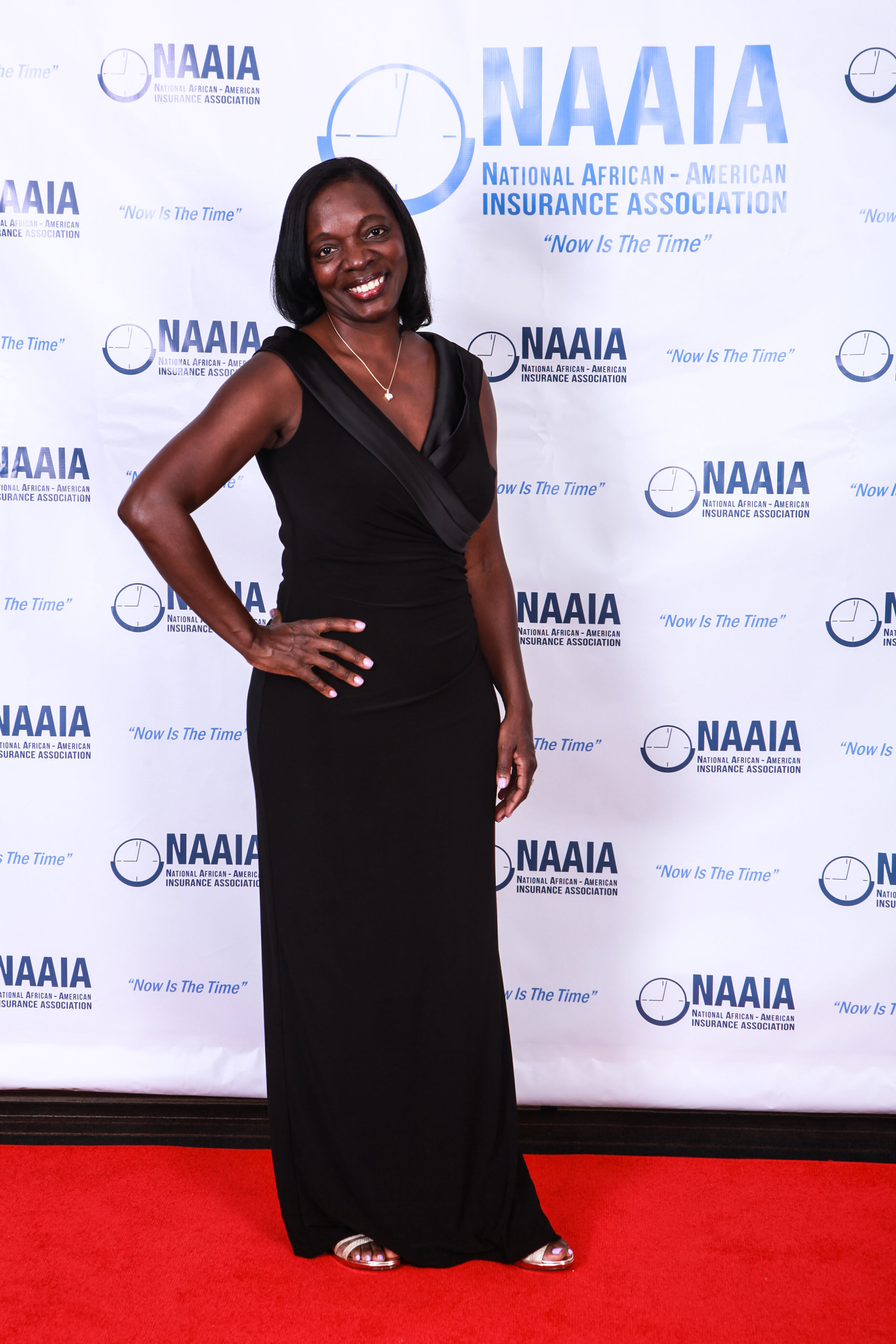 NAAIA_EncounterHART893.jpg