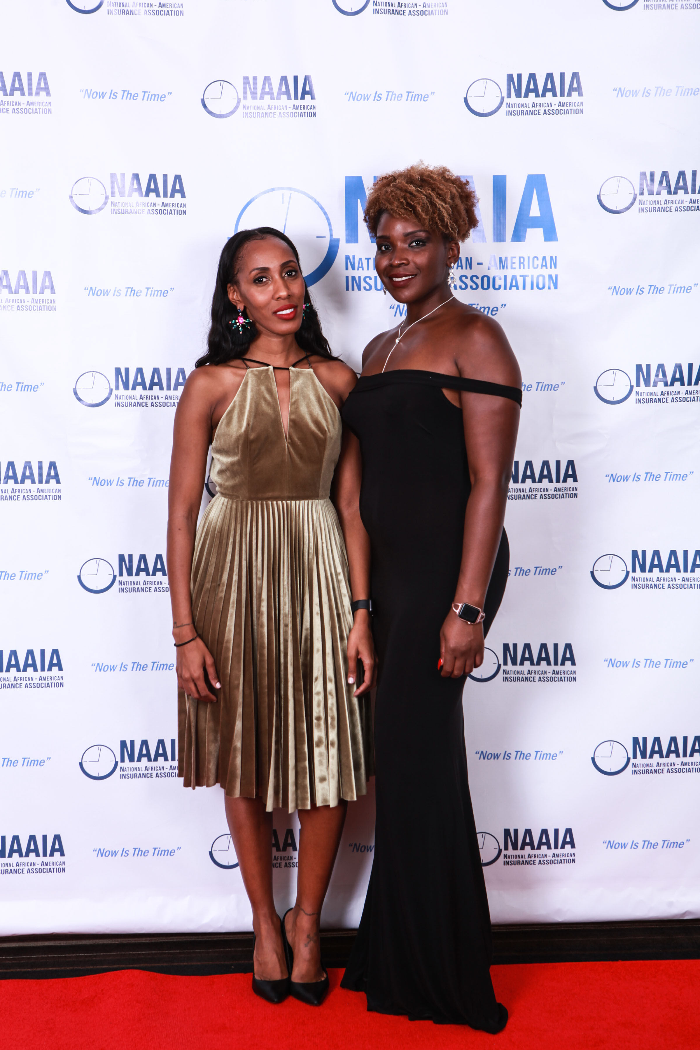 NAAIA_EncounterHART987.jpg