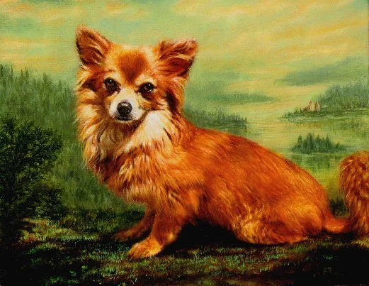 Corgi Portrait by Jennifer Chapman
