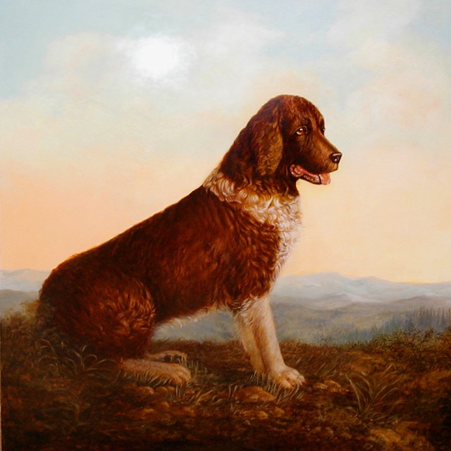 Springer Spaniel Painting by Jennifer Chapman