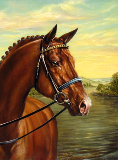 Horse Portrait by Jennifer Chapman