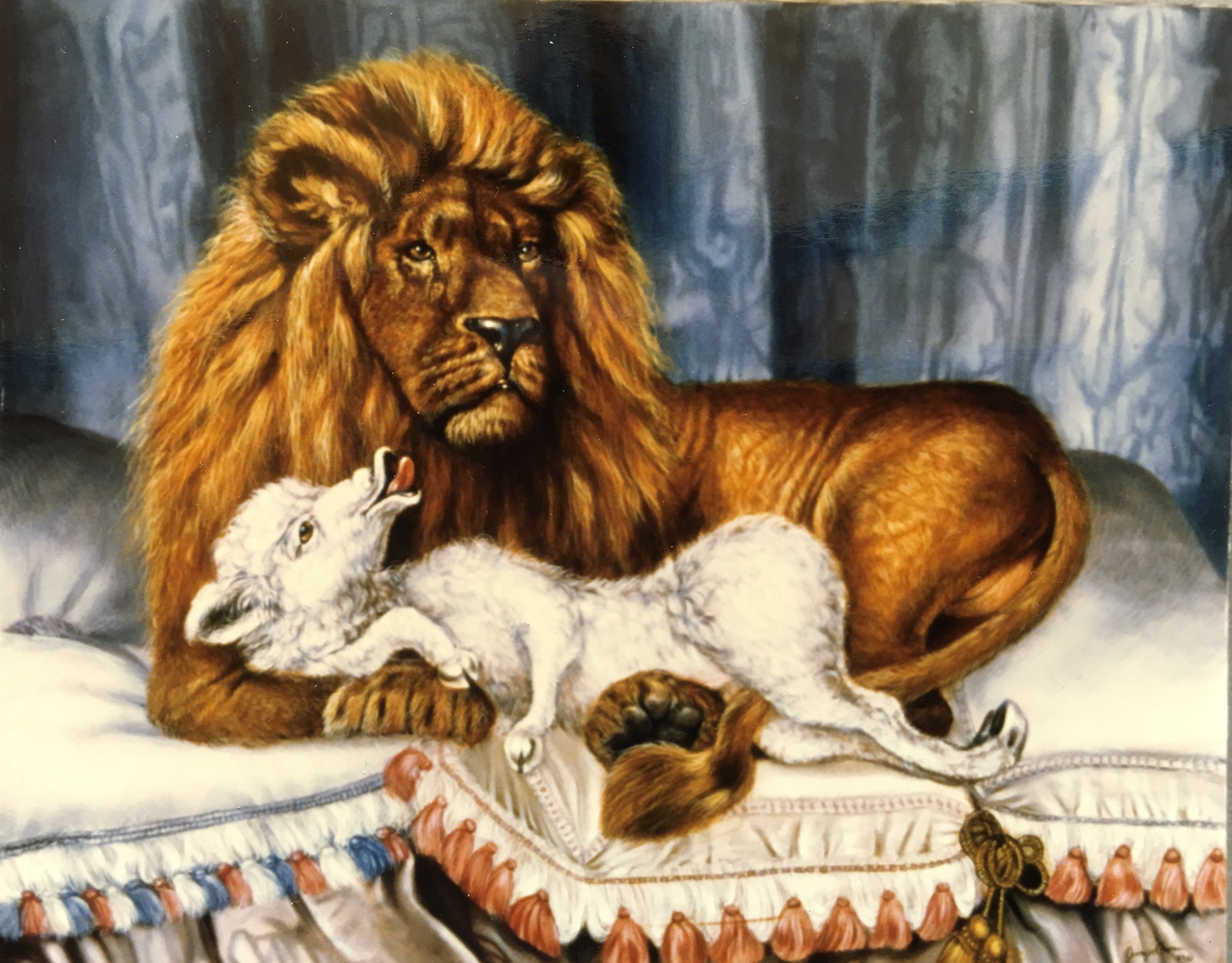 Lion and the Lamb Painting by Jennifer Chapman