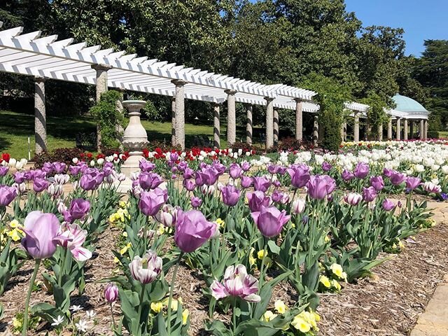 A little floral joy for your Sunday.