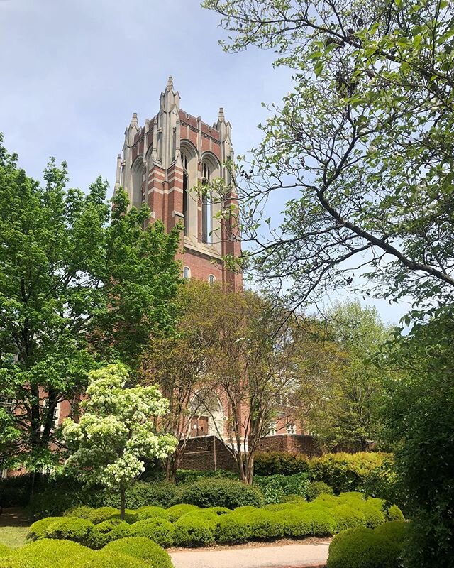 Perfect morning strolling through this beautiful campus.