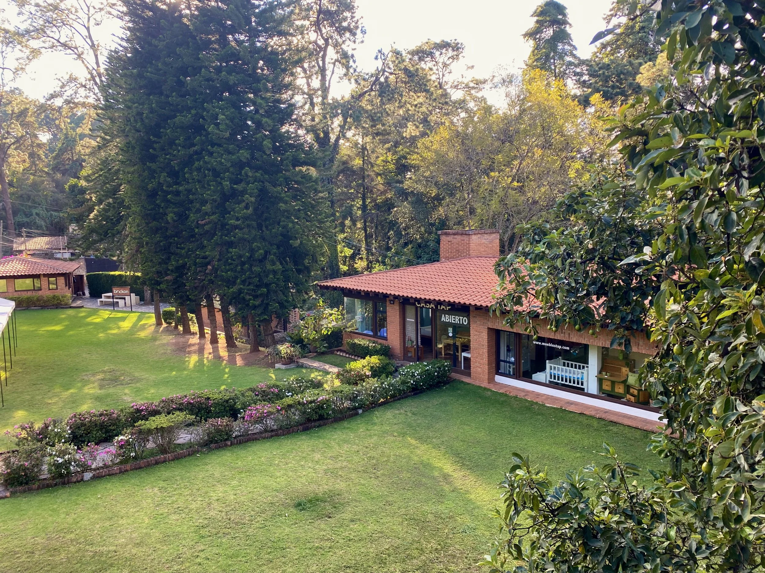 tienda muebles tap avandaro