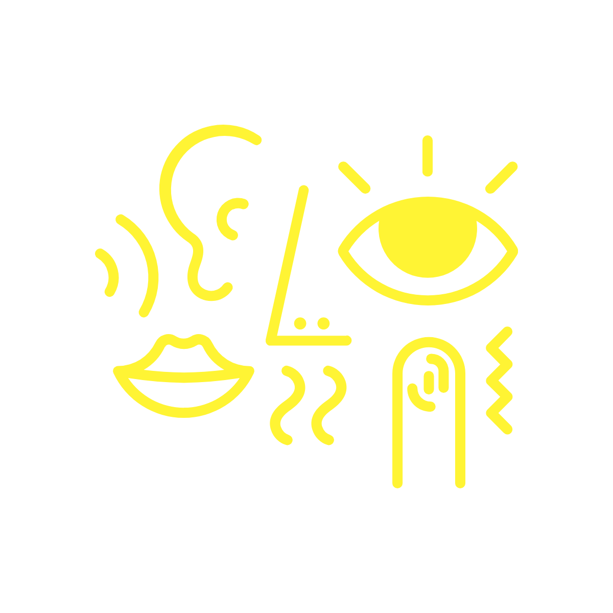 pictures representing hearing, vision, touch, smell and taste.