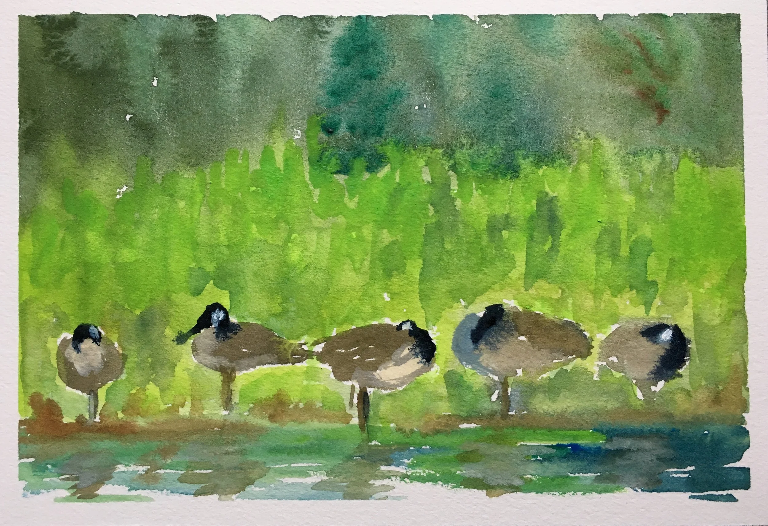 #134_Canada Geese.jpg