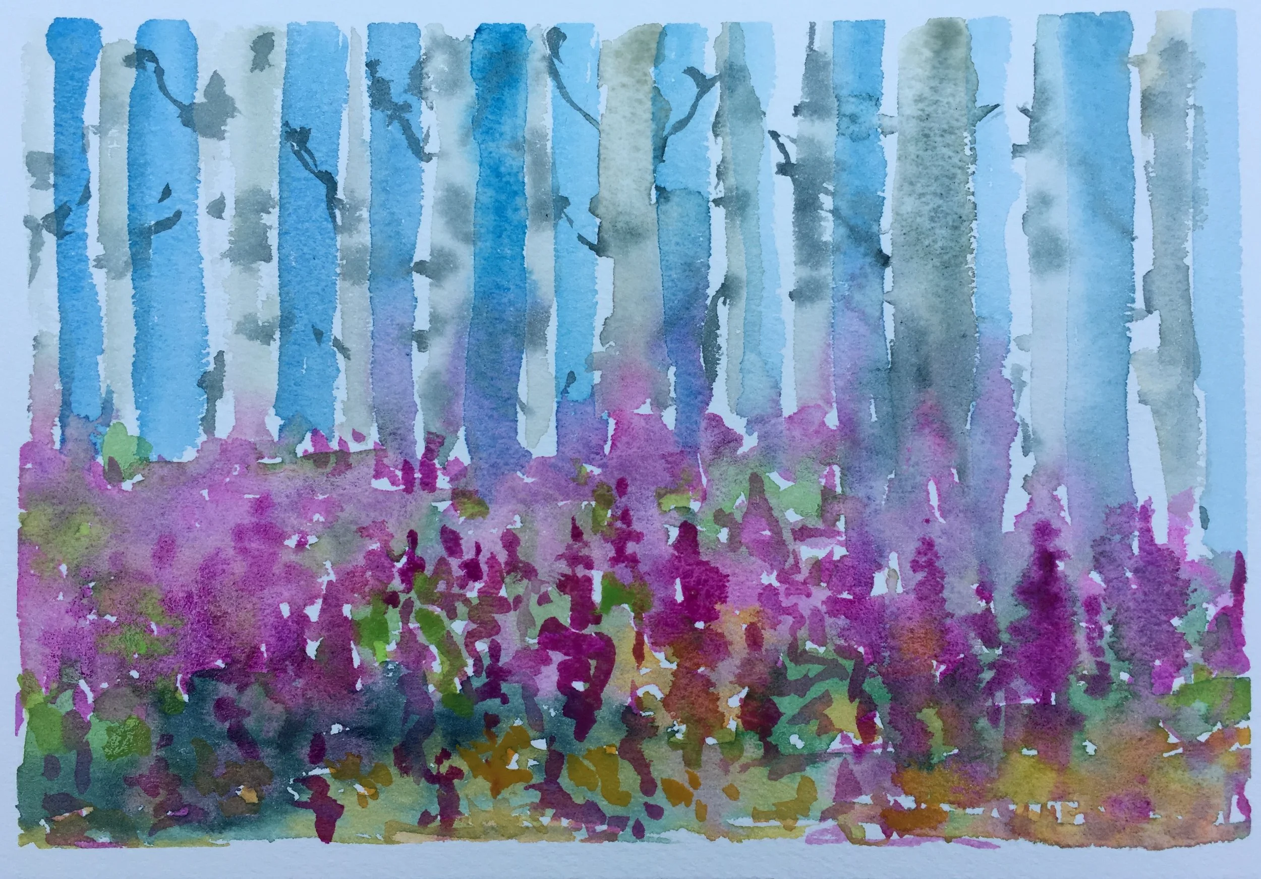 #127 - Fireweed & Aspens