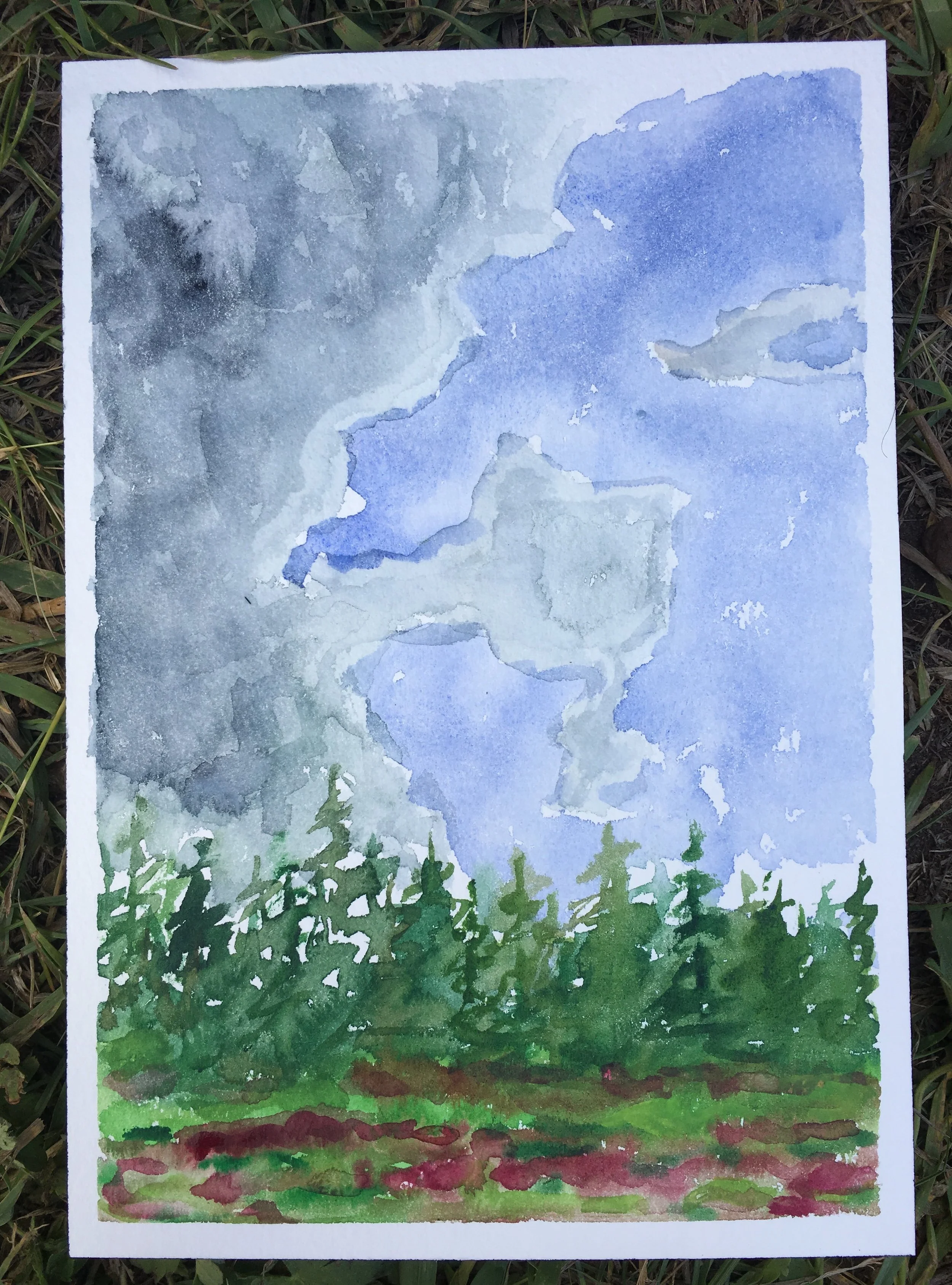 #125 - Thunderheads and Fireweed