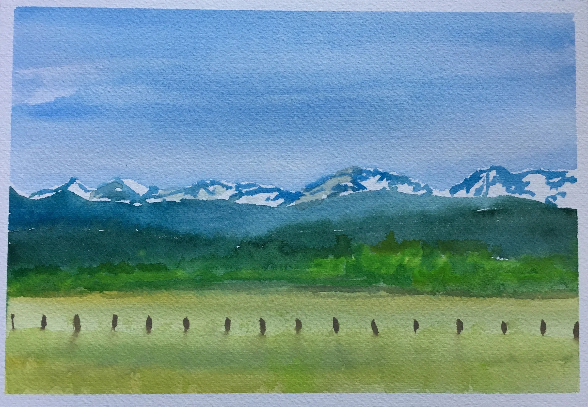 #97 - Field with Fence