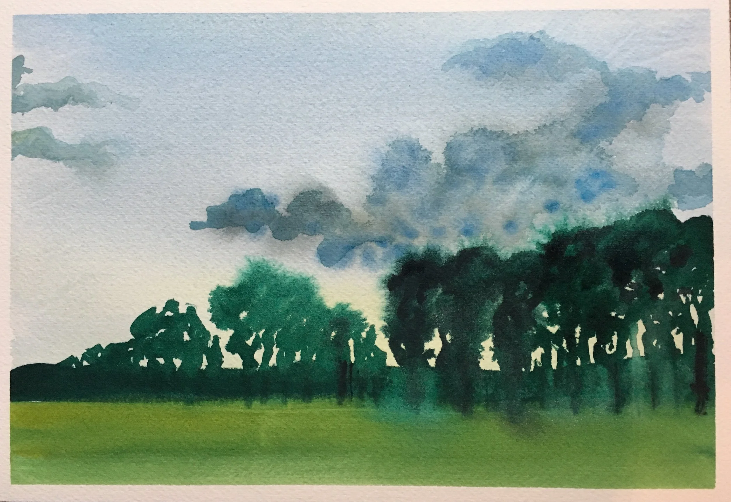 #94 - Last Light Cottonwoods