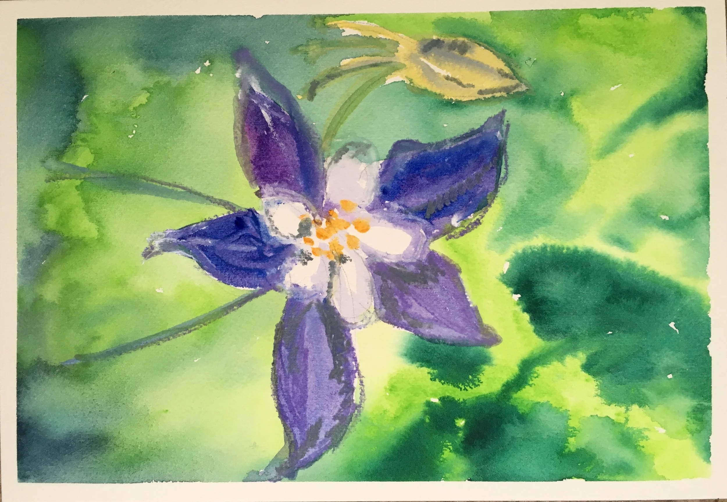 092_columbine.jpg