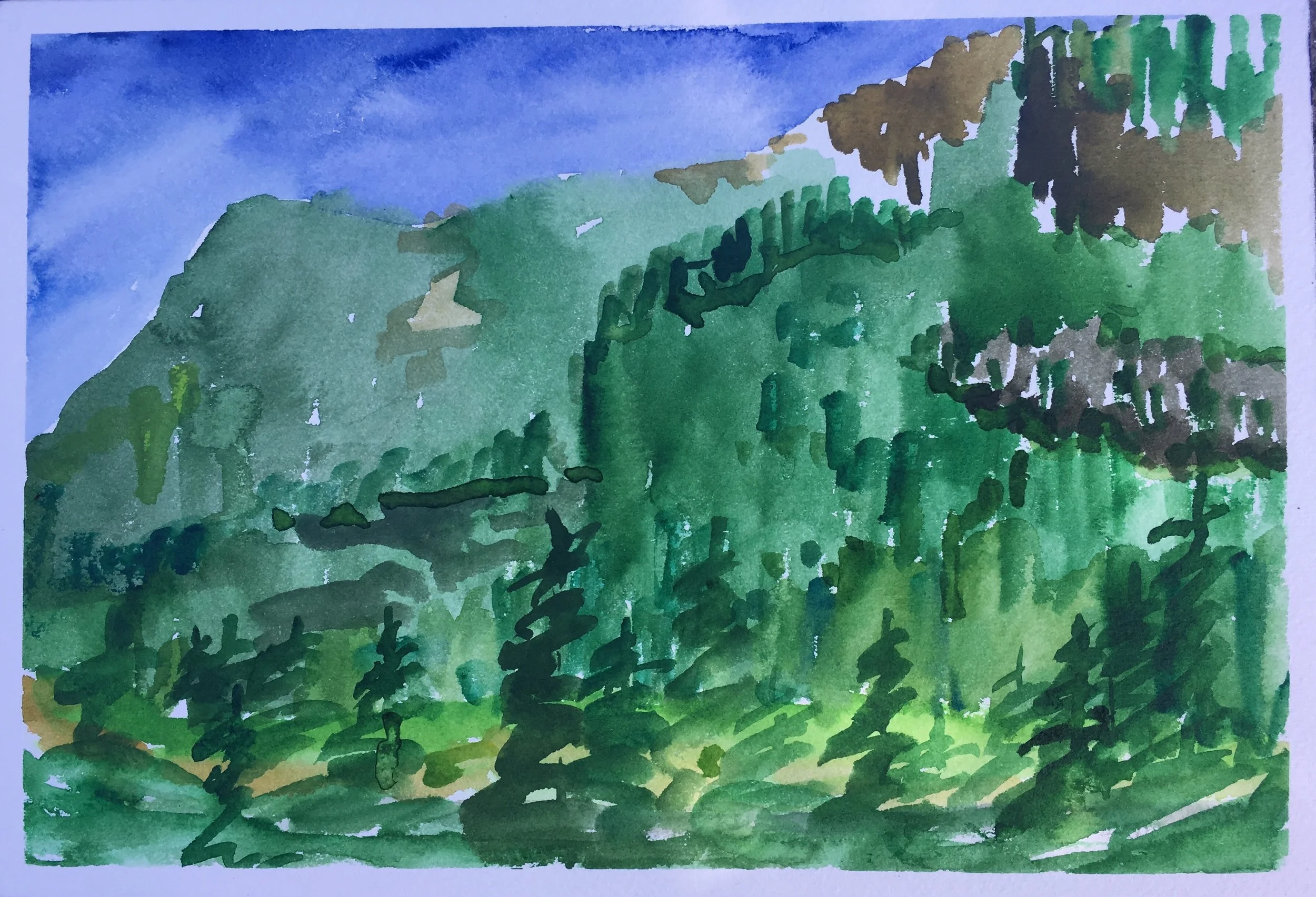 #91 - Granite Canyon View