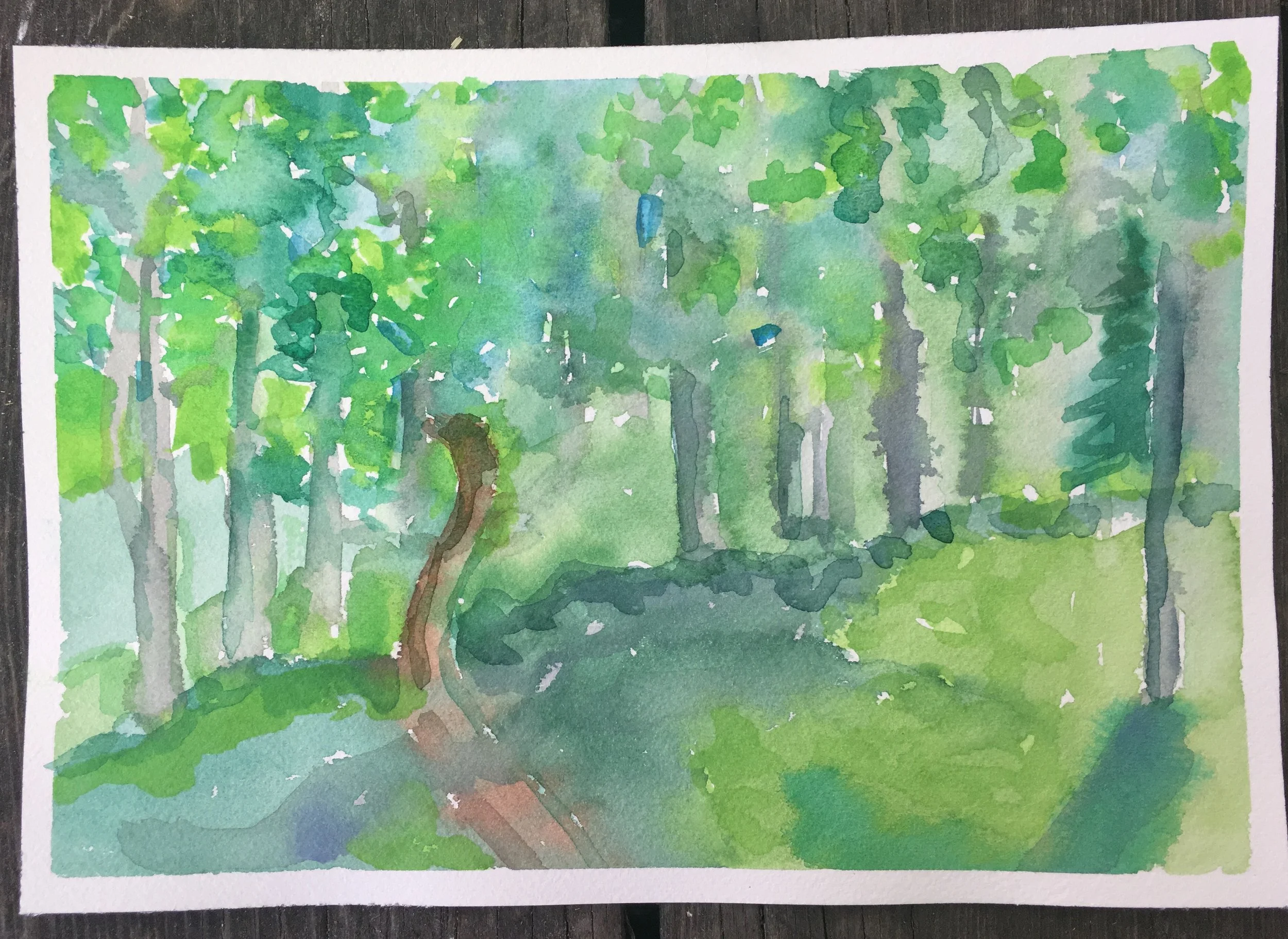 #90 - Top of Snow King