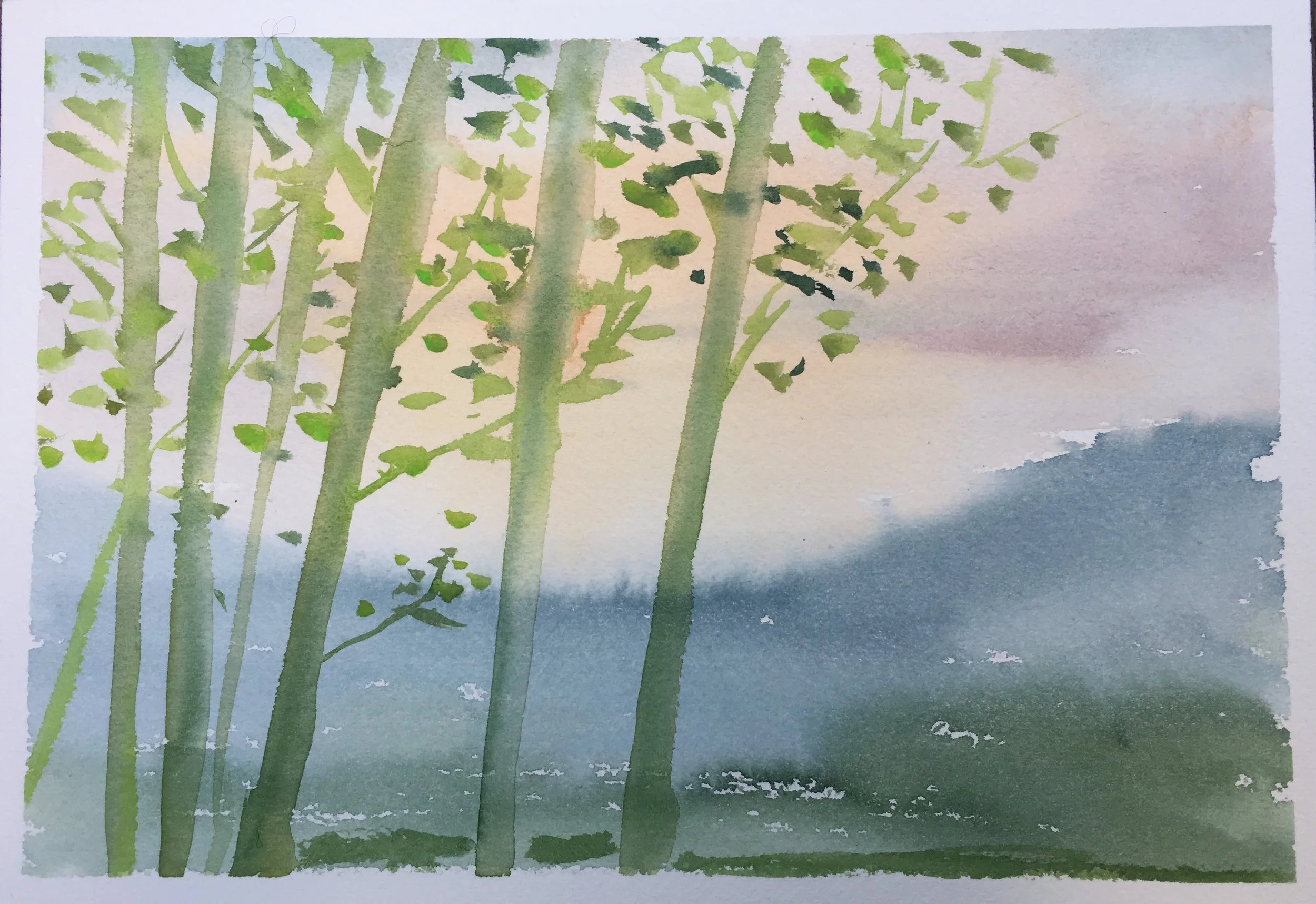 #87 - Summer Solstice Sunrise