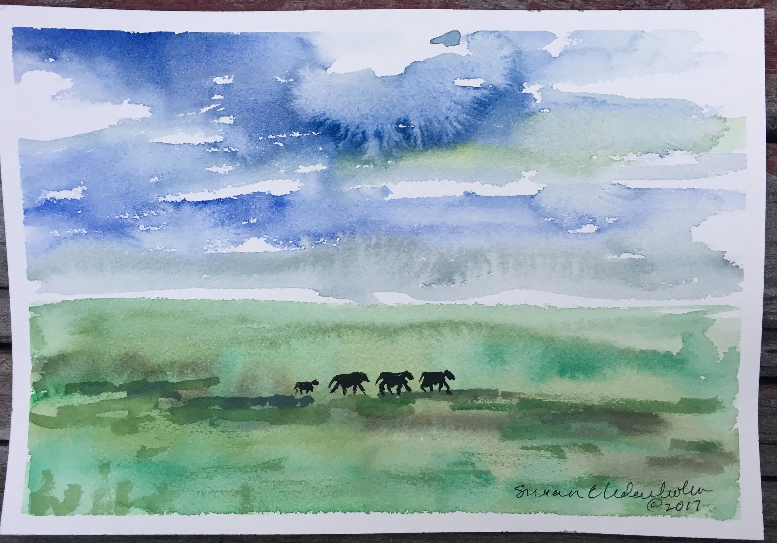 #85 - Cows in the Landscape