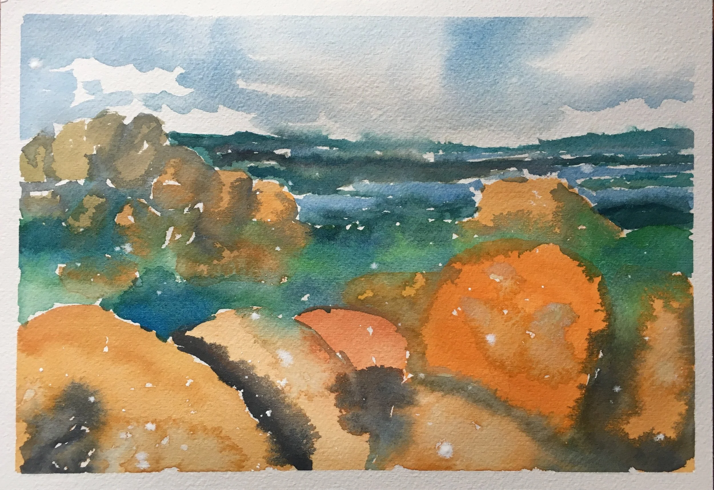 #79 - View From the Summit of Mt. Wellington