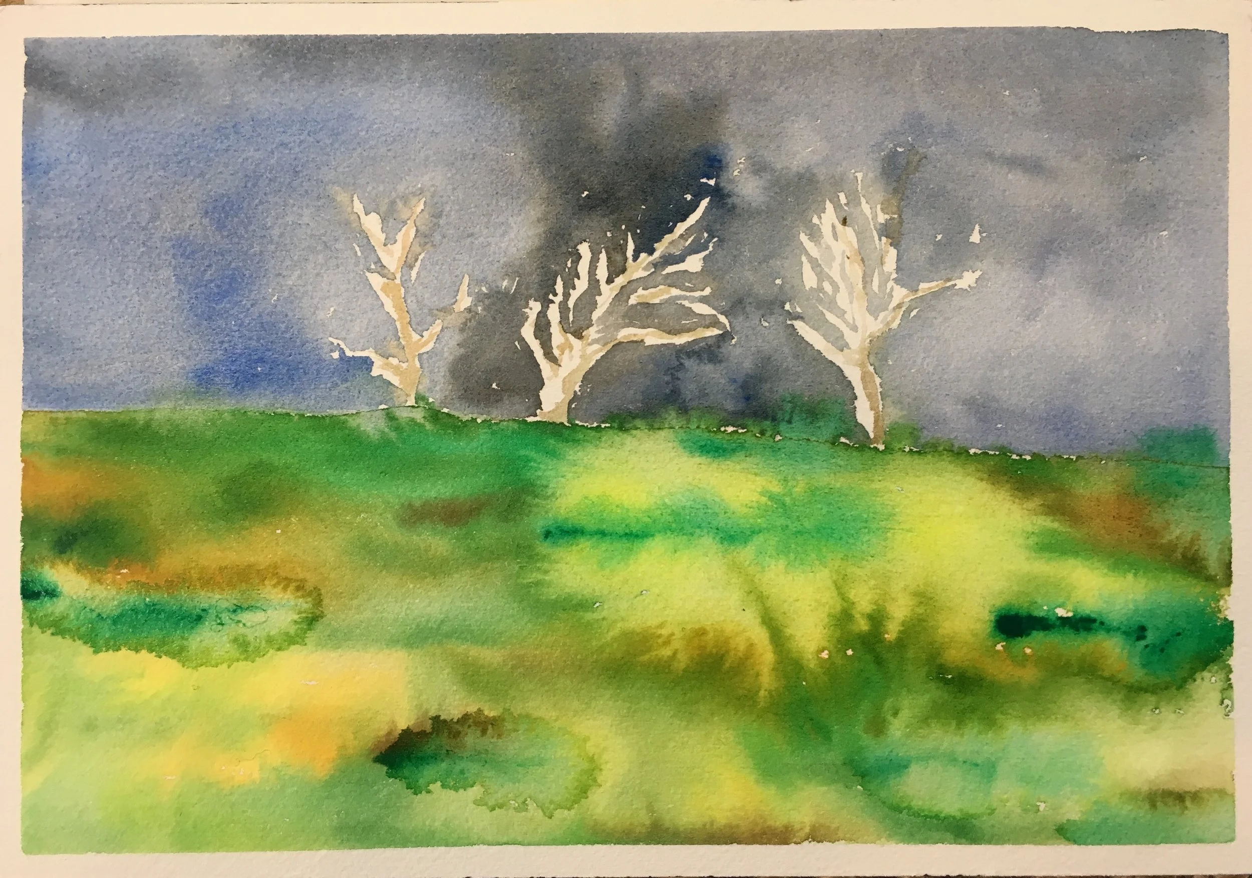 #62 - Dead Gum Trees