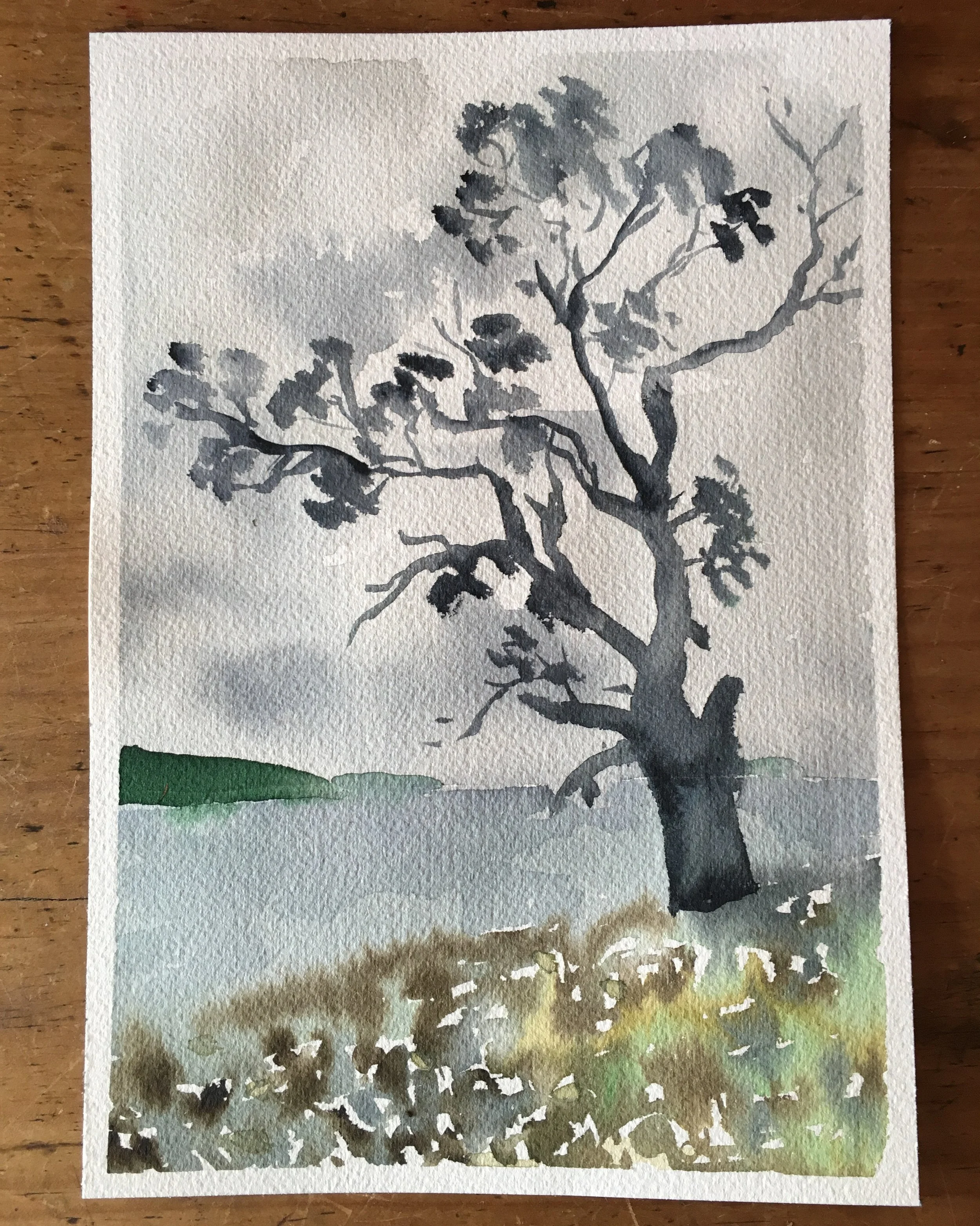 058_The Old Gum Tree.JPG