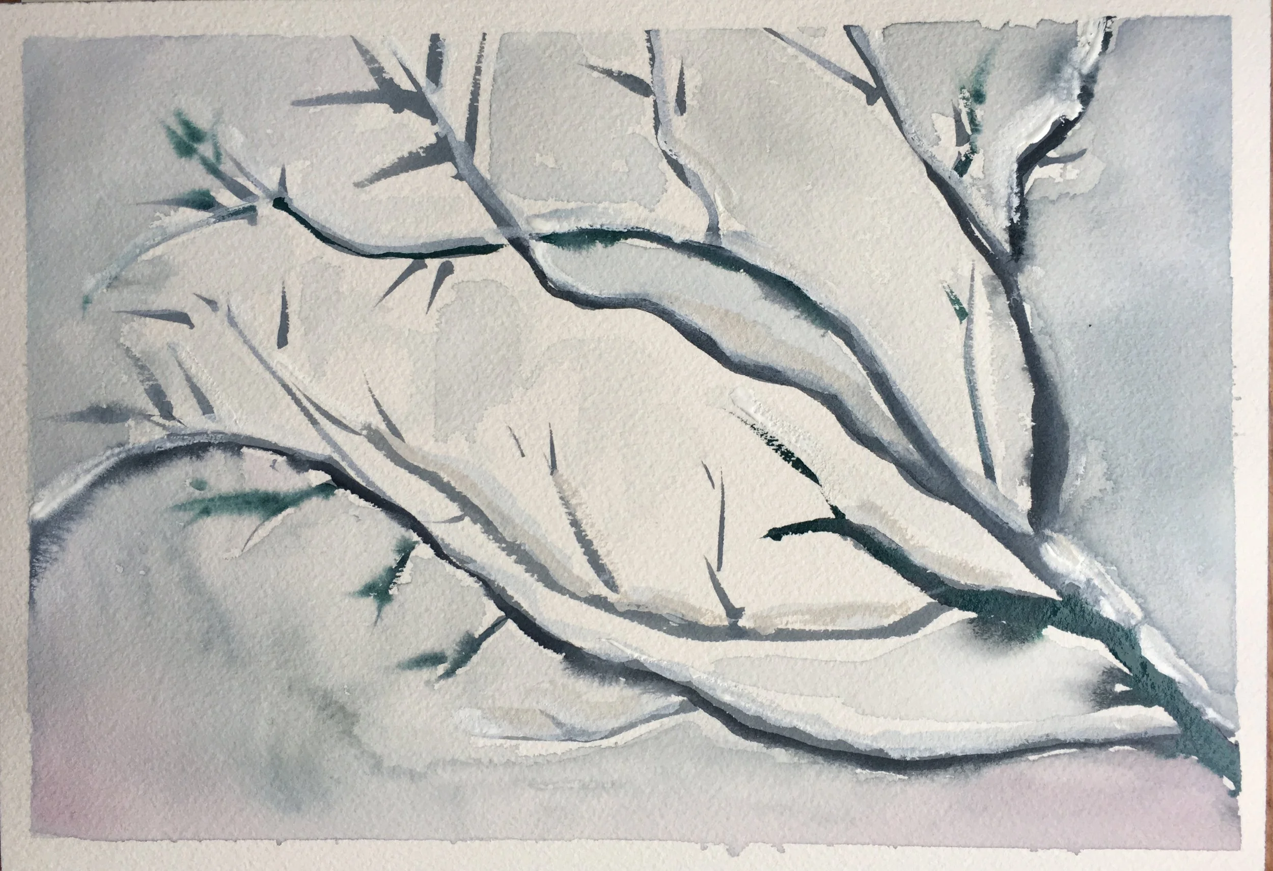 #36 - Snowy Branches