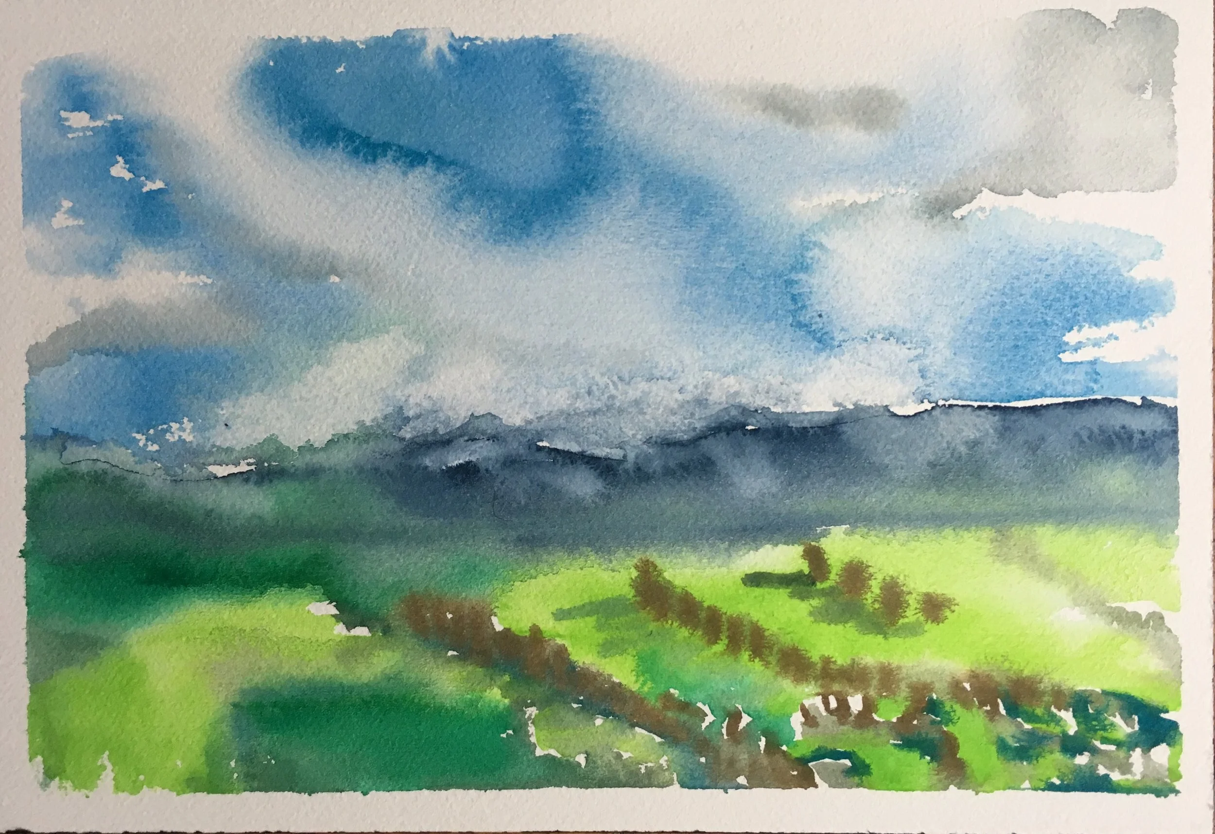 #35 - View from High School Butte