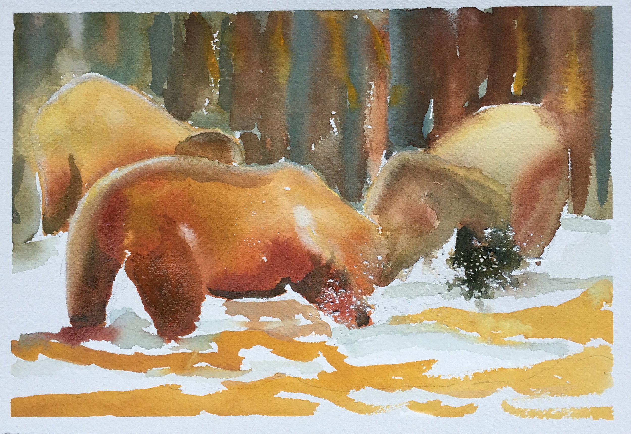 #27 - Grizzlies Digging