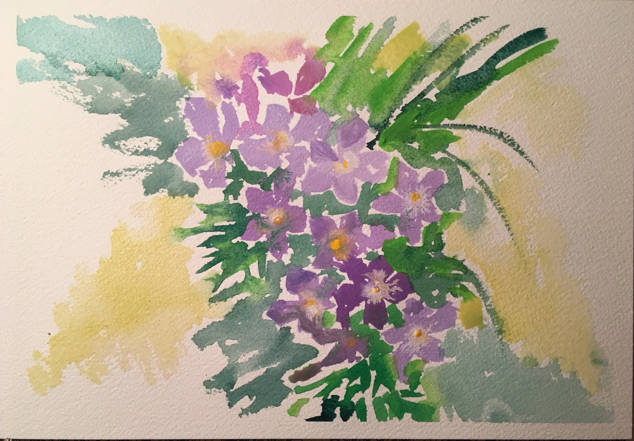 #26 - Phlox