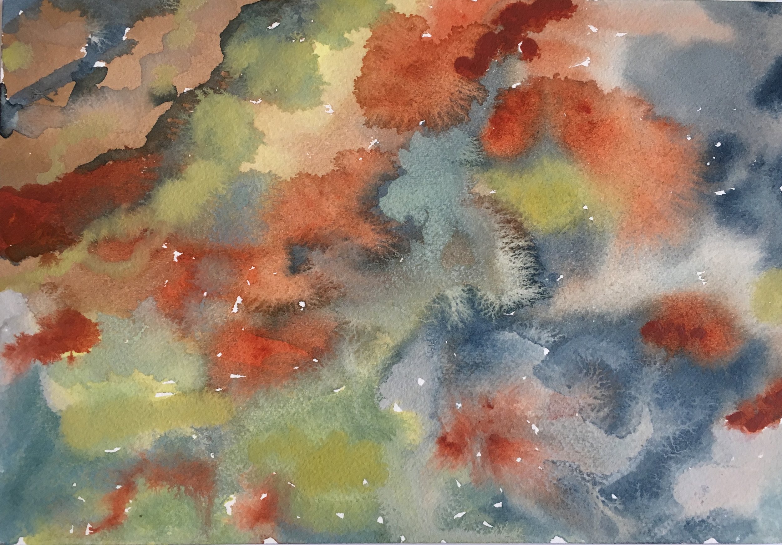 #24 - Lichen on Granite