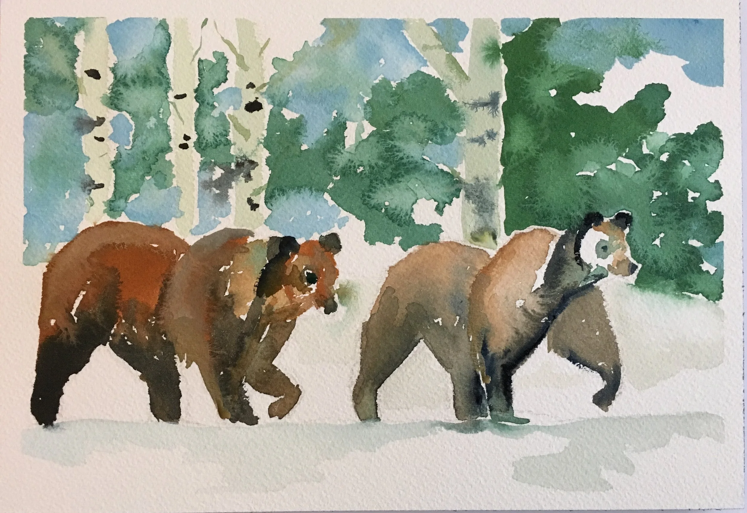 #17 - Grizzly Cubs